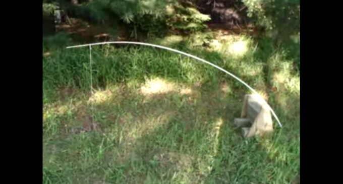 How do you build a squirrel trap?