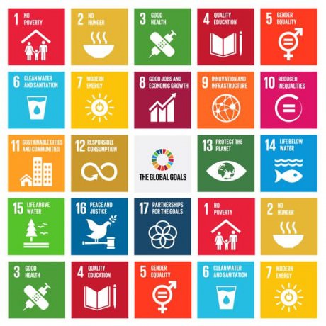 The Global Goals