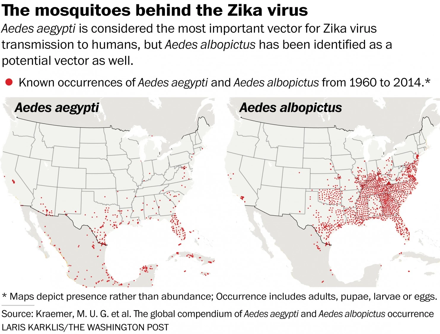 zika virus graph