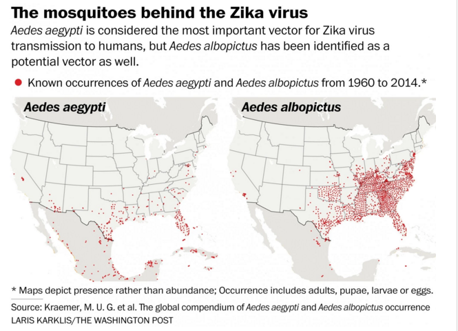 Multiple Zika Cases Reported In Us First Sexually Transmitted Case Confirmed Page 2 Of 2