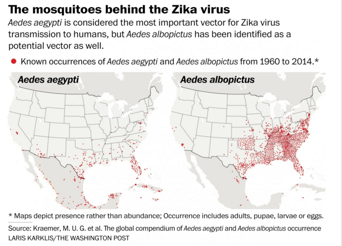 zika_cases_us_graph