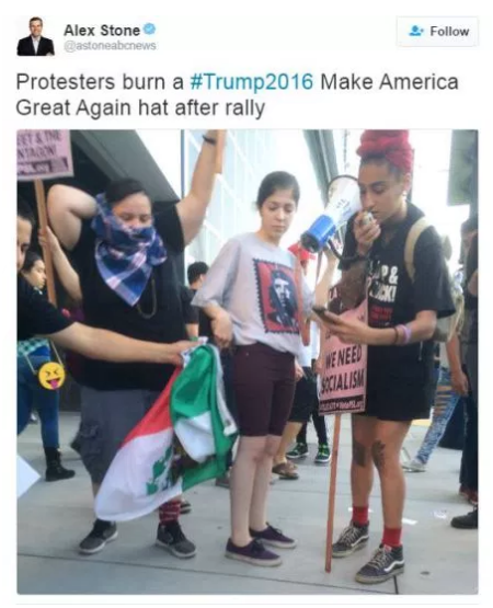 professional_protestor