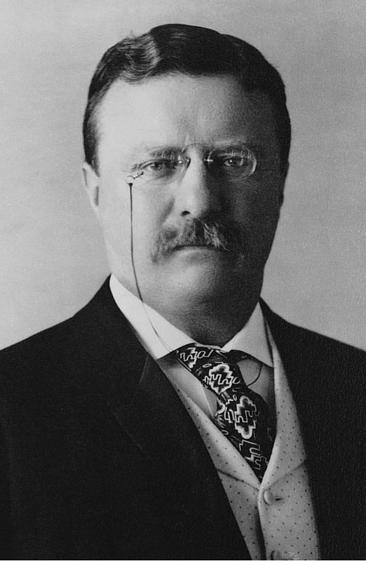 Theodore Roosevelt