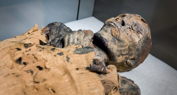 Modern Genetics Once Again Proves the Bible Correct