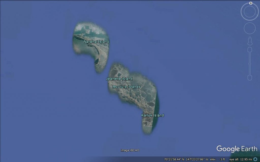 Narwhal Island