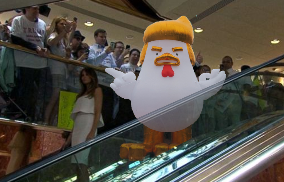 trump chicken 7