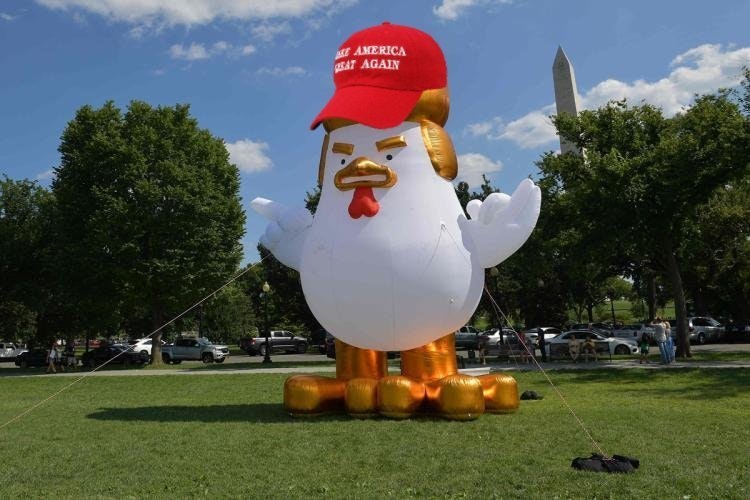 trump chicken 8