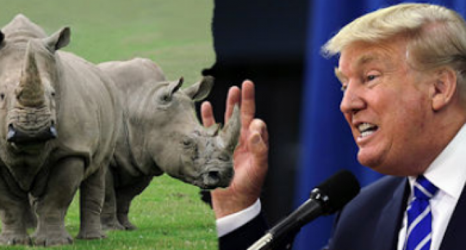 PETITION: Impose SANCTIONS on the Republican Party Until They Act Like Republicans