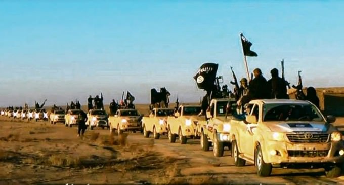 US Intel Investigates How ISIS Got 100s of Toyotas