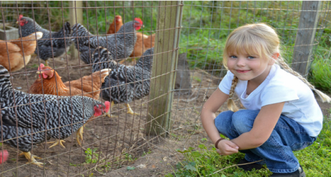 Michigan Loses “Right To Farm”