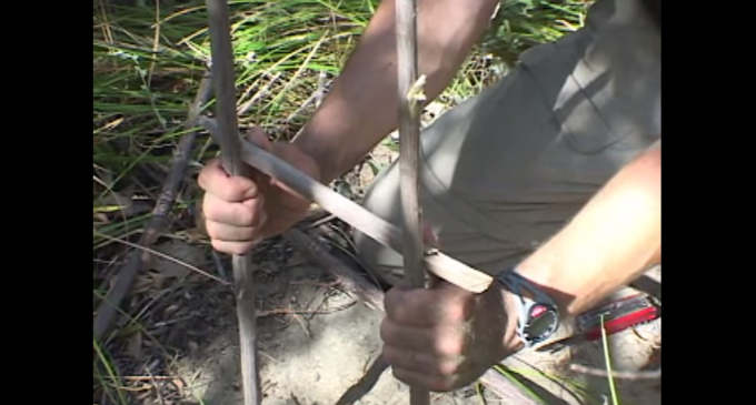 Animal Trap: How To Make A Primitive T-Bar Snare