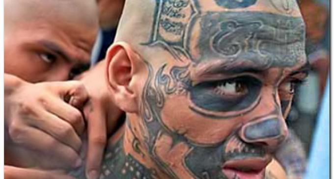 Are Illegal Alien Convicted Muderers Roaming YOUR Community?