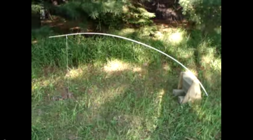 Survival Time: Build A Highly Effective Squirrel Trap