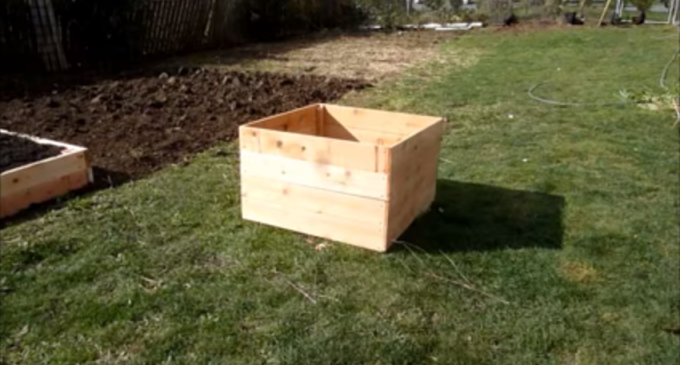 Prepper Time: How To Build A Potato Growing Box
