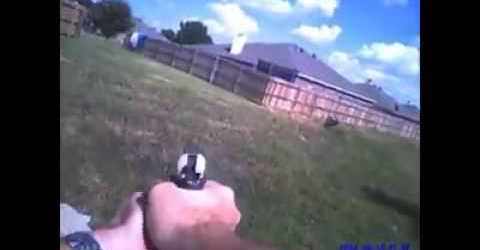 Blood Lust: Cop Calls Over Playful Dog To Execute It