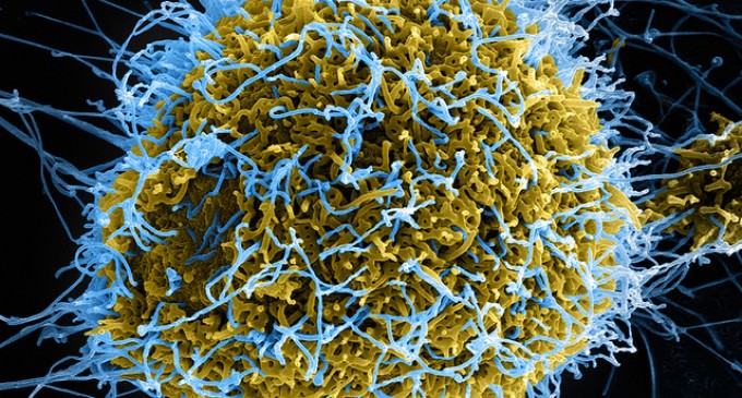 Ebola Can Live On Cold Surfaces 2 Months, Transmittable 3 Feet Away