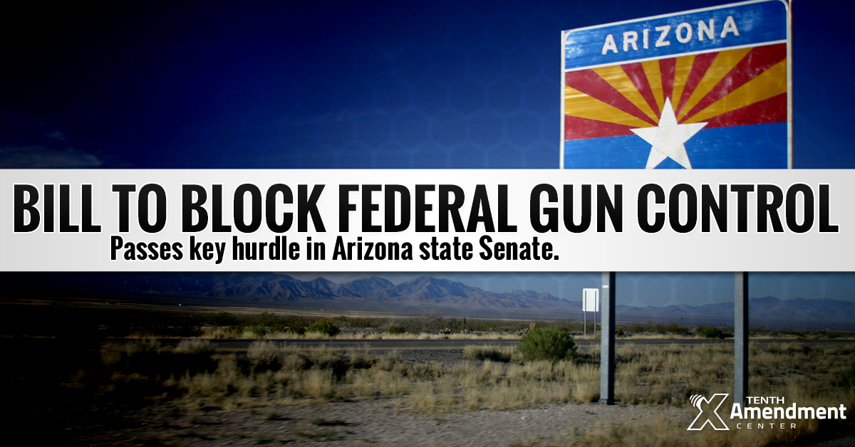 Arizona Moves To Nullify Federal Gun Control Laws