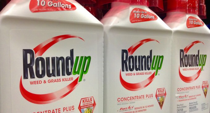 Monsanto Reeling After California List’s “Roundup” As Cancer Causing