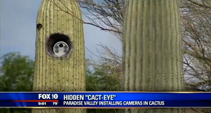 Arizona Town Installs License Scanning Cameras In Cactuses