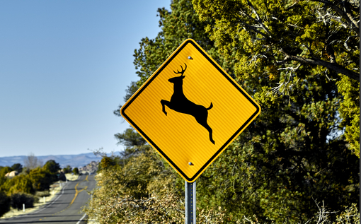 Please Move Deer Crossing Signs Off Interstates So They Cross Somewhere Else