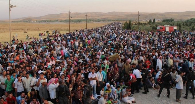 Revealed: The Name Backing the Refugee Chaos