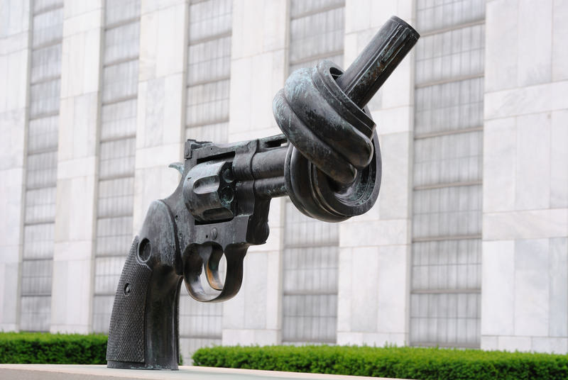 UN Demands “Urgent Measures” on Gun Control After Charleston Shootings