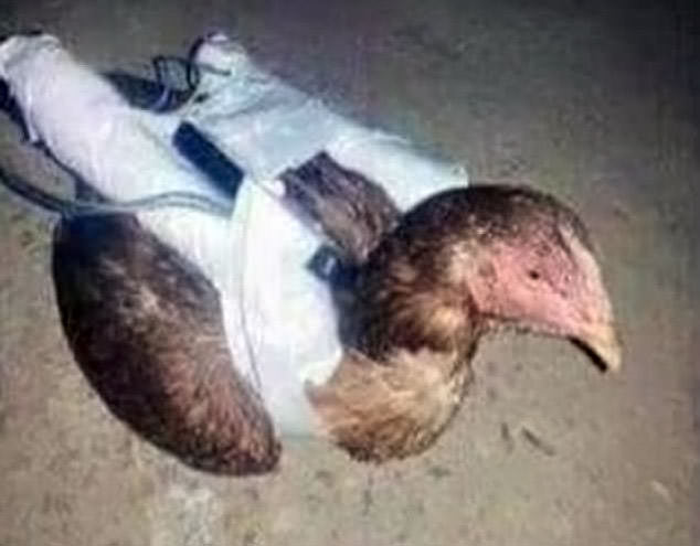 ISIS Hatches “Deadly” New Weapon