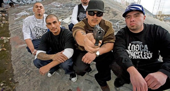 LA Gangs Declare They Will Kill 100 People In 100 Days