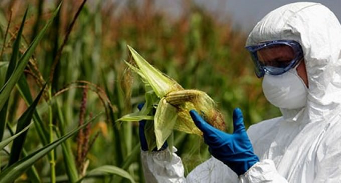 Pro-GMO DARK Act Passes The House, Headed To The Senate