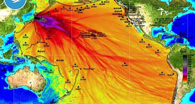 The Fukushima Fallout Up and Down The West Coast