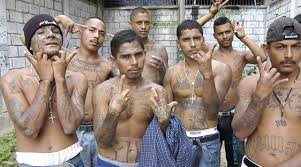 Homeland Security Hid Release of Violent Criminal Illegal Immigrants From Local Law