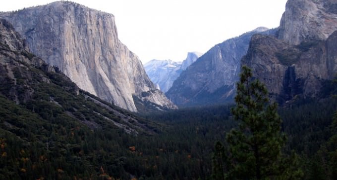 Plague Strikes Child in Yosemite