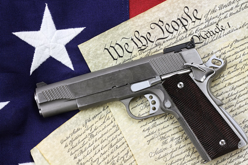 7th Circuit Court: Illegal Aliens Have Second Amendment Rights