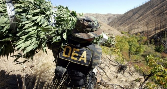 DEA Ejected from Bolivia, Drug Manufacturing Plummets