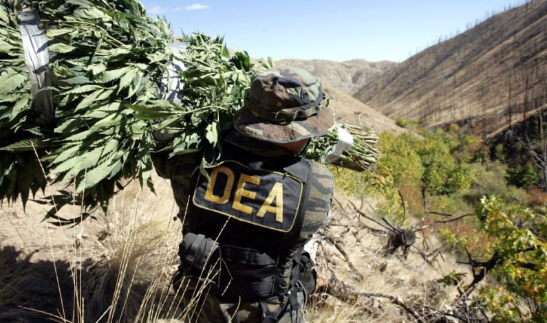 DEA Ejected from Bolivia, Drug Manufacturing Plummets