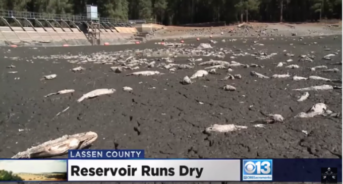 CA Reservoir Dried Up Overnight? That Smells Fishy!