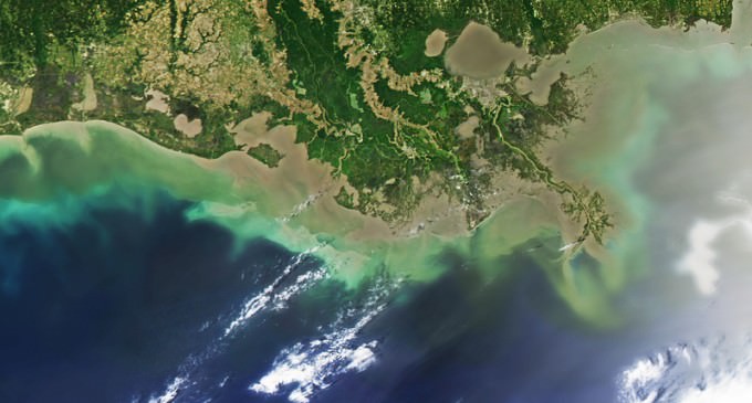 Evacuate The Gulf: Food And Water Is Poisoned