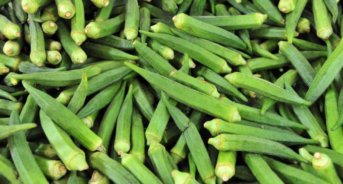 Heavily Armed Police Storm Home, Seize Okra Plants