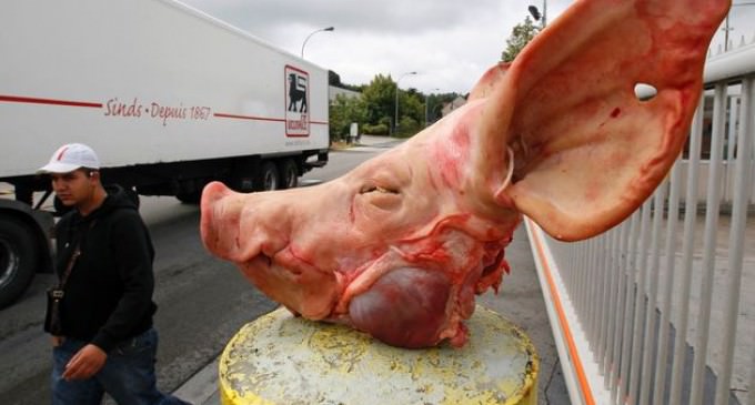 Imprisionment for Retalitory Pig Head Toss into Mosque