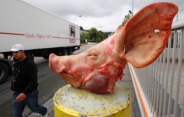 Imprisionment for Retalitory Pig Head Toss into Mosque