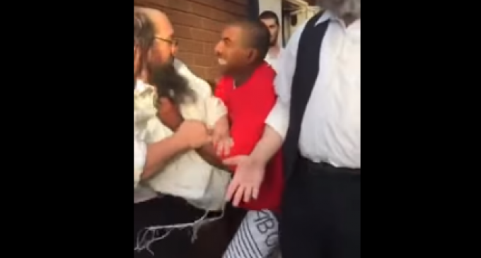 Infuriated Muslim Picks a Fight With the Wrong Orthodox Jew