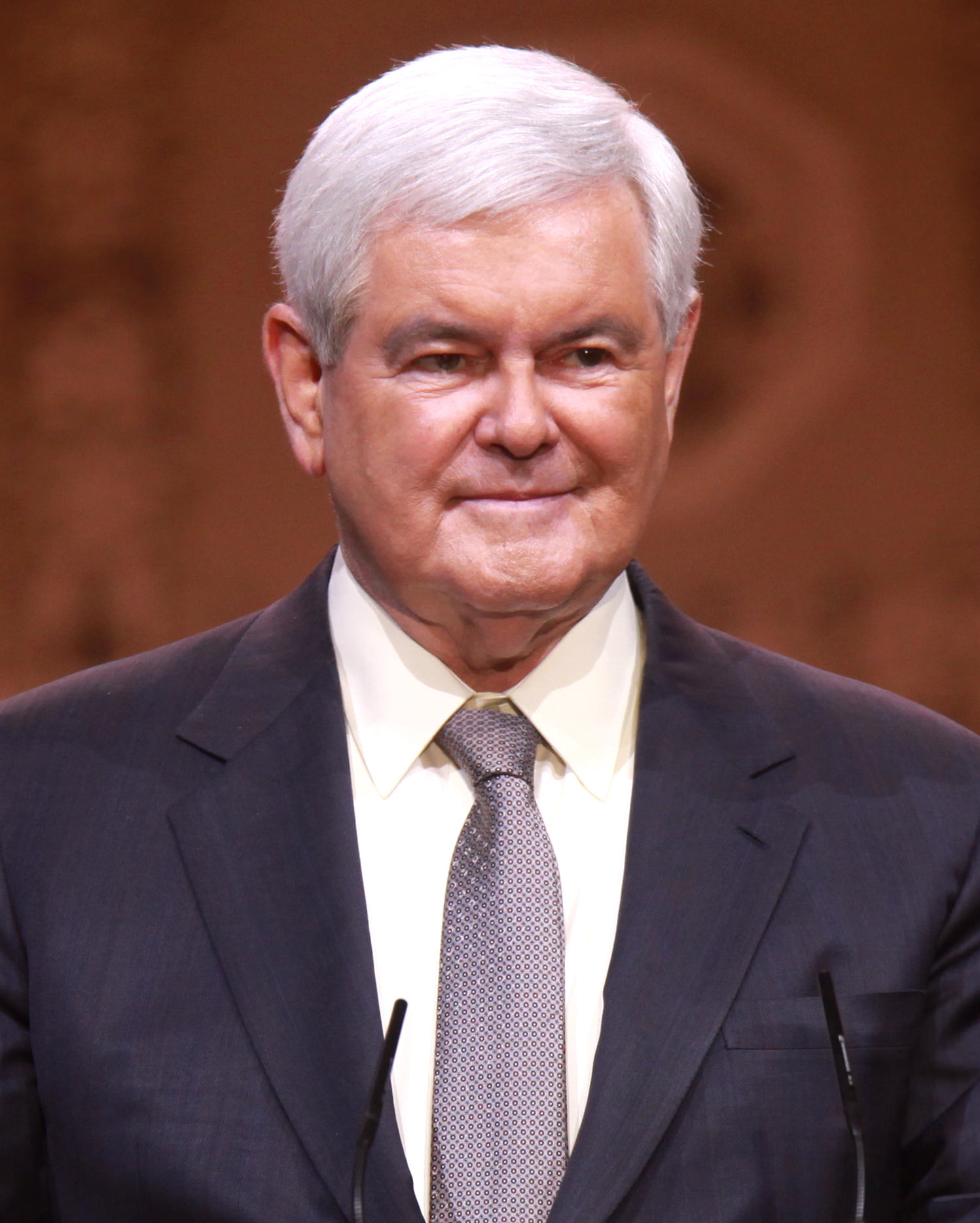 Gingrich: Trump Can ‘Kick Down The Doors’ Of The Establishment, The Country Is In Rebellion