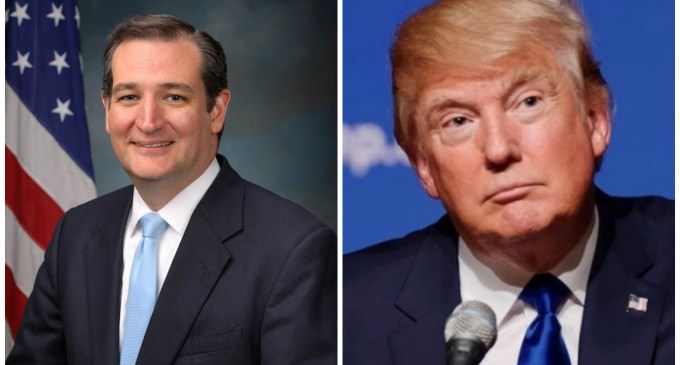 Donald Brings Up Presidential Citizenship Argument Again, This Time with Cruz