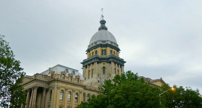 Illinois Resolution Declares 2nd Amendment Not Individual Right