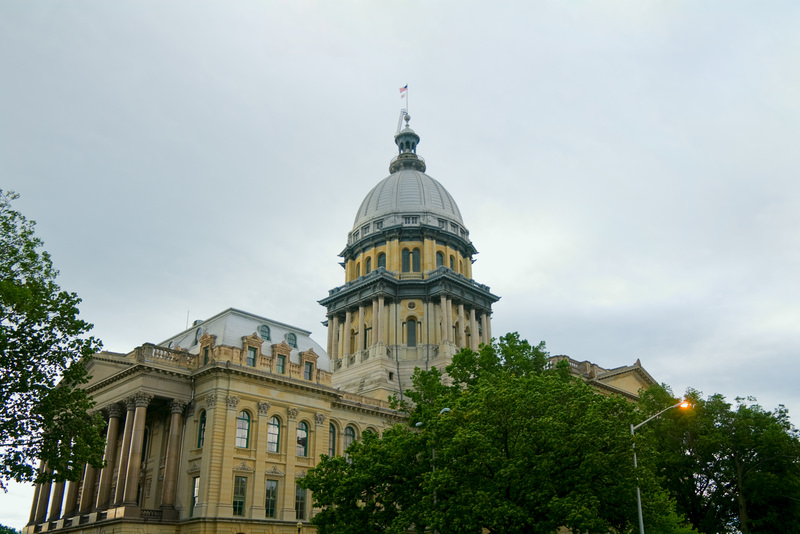 Illinois Resolution Declares 2nd Amendment Not Individual Right