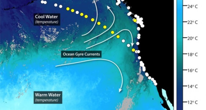 More Fukushima Nuclear Radiation approaches American Shores