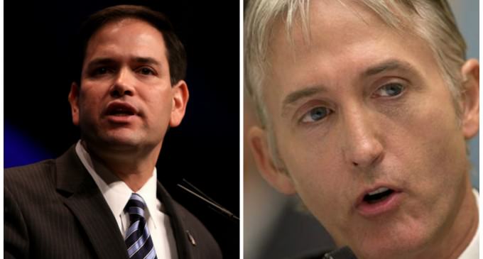 Trey Gowdy Endorses Marco Rubio, Praises Him As A “Rock Solid Conservative”