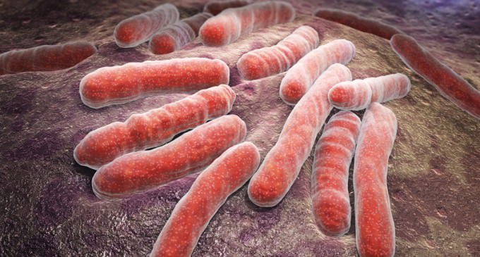 Diseases Wiped Out Decades Ago Reappear In US