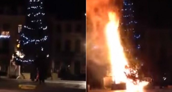 Christmas Tree Bombed to Cries of ‘Allahu Akbar’