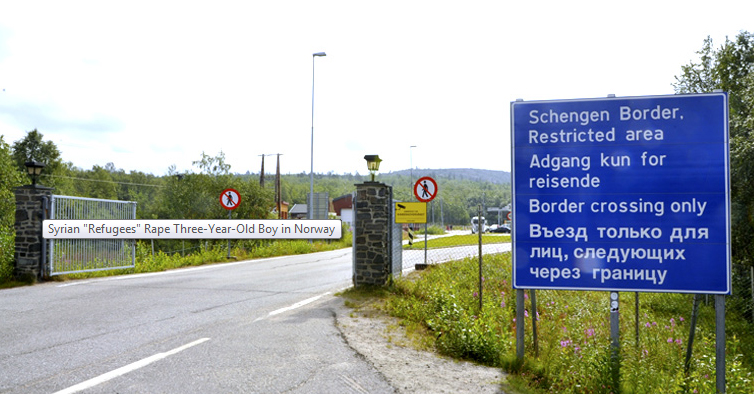 Syrian Migrants Rape 3-year-old